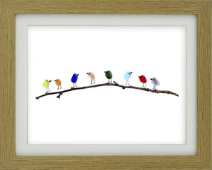 Rainbow Birds on Branch