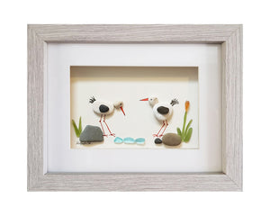 Oystercatchers