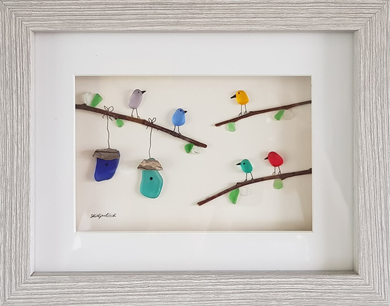 Colourful Birds
