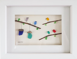 Colourful Birds