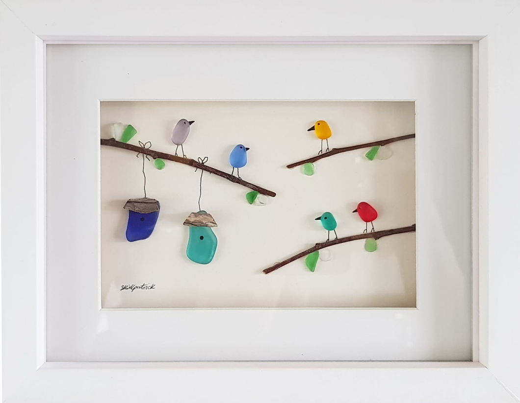 Colourful Birds